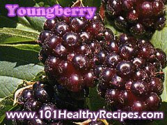 Youngberries